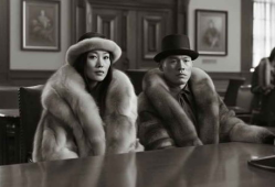 黑狐电视剧免费观看,揭秘神秘特工传奇，免费观看尽享谍战风云