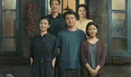 电视剧人世间剧情介绍,岁月流转，情感交织的岁月长河