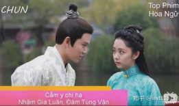 越南电视剧,穿越时空的浪漫传奇